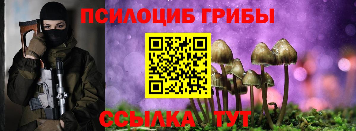 Псилоцибиновые грибы MAGIC MUSHROOMS Находка