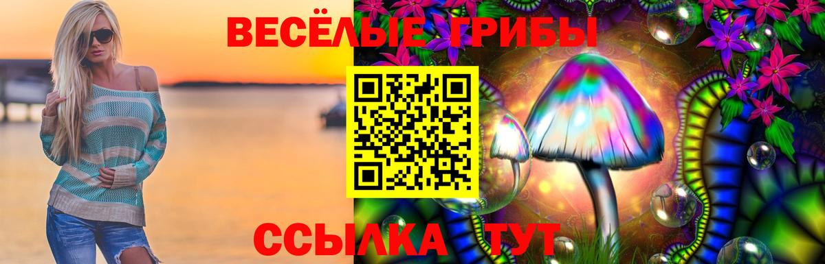 Находка  Галлюциногенные грибы Magic Shrooms  Вход с VPN  Псилоцибиновые грибы GOLDEN TEACHER 